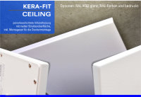 CEILING 300 DR
